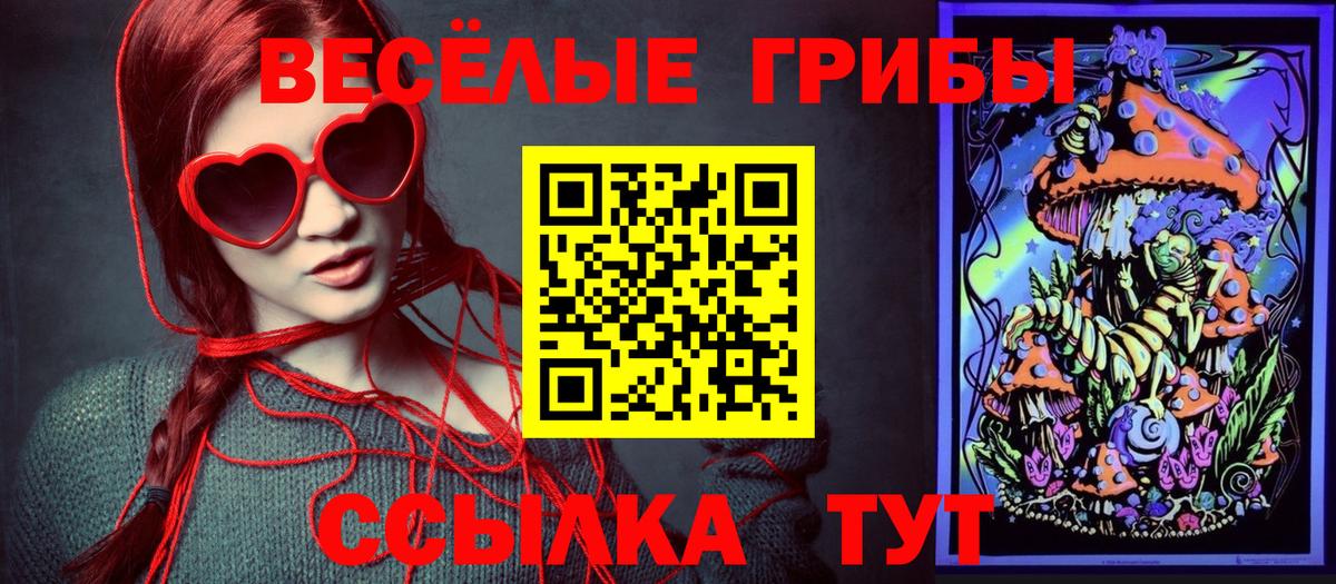 Галлюциногенные грибы Psilocybine cubensis Дербент