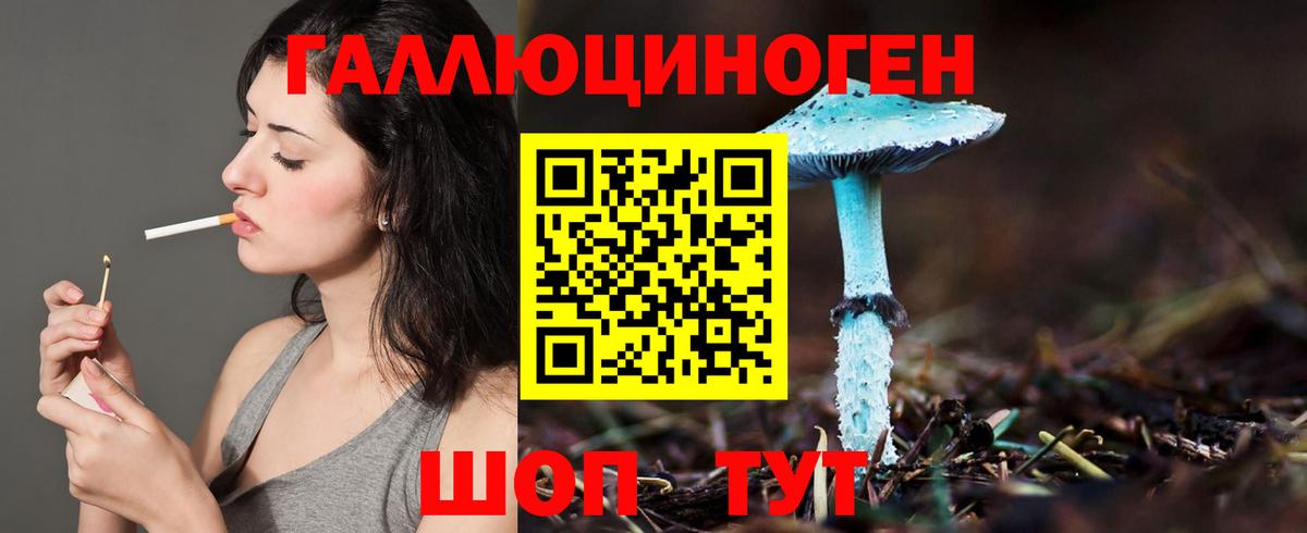 Псилоцибиновые грибы MAGIC MUSHROOMS  Вход с VPN  Дербент  Псилоцибиновые грибы GOLDEN TEACHER 